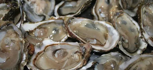 Les fêtes se terminent et il est temps de penser à la planète !