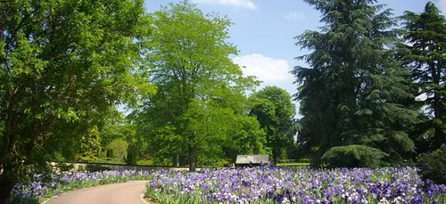 Orléans : la ville condamnée pour une affaire d’harcèlement