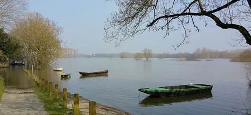 Angers : des policiers et des pompiers sauvent deux femmes de la...