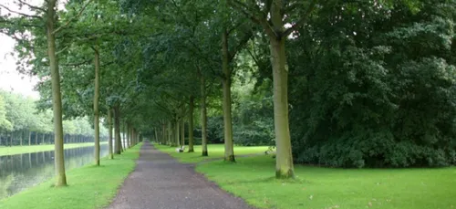 Malesherbois : des jeunes sont recherchés pour nettoyer la commune