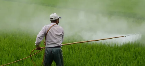 Affaire des pesticides : le céréalier charentais contre Mosanto,...