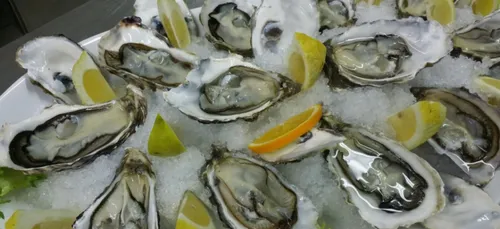 Marennes-Oléron : 6 ostréiculteurs condamnés pour tromperie sur la...