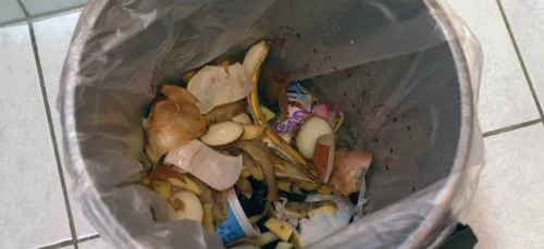 Deux-Sèvres : plusieurs familles vont tenter le "0 déchets"