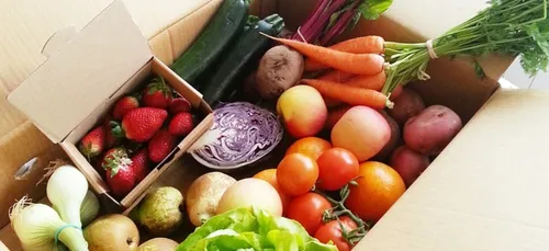 Le potager d'à côté : voici comment vendre et consommer local