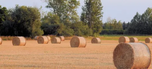 Charente-Maritime : un agriculteur se suicide avant son procès   