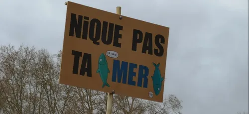Angoulême, Orléans, Poitiers… : manifestations à prévoir pour la...