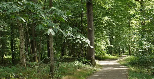 Ferrières : l’autopsie du cadavre n’a pas permis de connaître les...