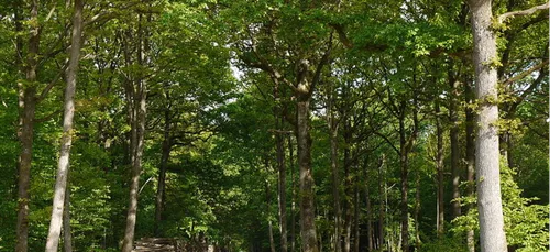 Ferrières : le corps retrouvé a été identifié