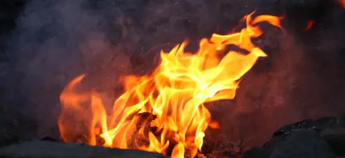 Haute-Vienne : un chien meurt dans un incendie