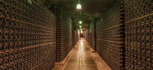 Limoges : ils commandaient vin et foie gras sans jamais payer la...