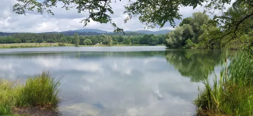 Deux-Sèvres : des voleurs avaient caché leur gros butin dans un étang