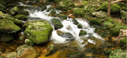 Environnement : lancement de l’opération « sentinelles de l’eau »...