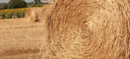 Grand Poitiers : bientôt une chaufferie qui fonctionnera à la...