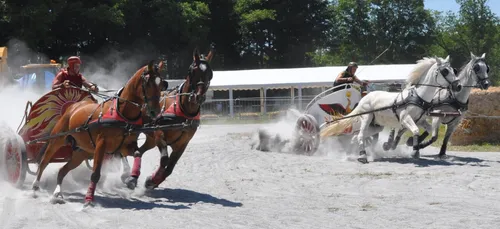 Haute-Vienne : venez participer aux Journées Gauloises à Saint-Gence