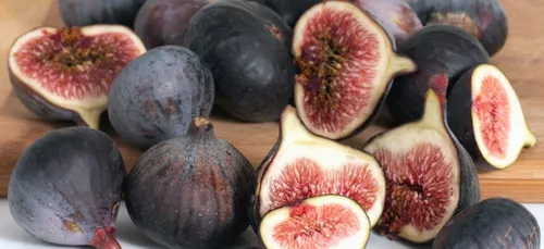 Charente-Maritime : des enfants brûlés à cause d’un figuier