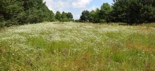 Haute-Vienne : une femme blessée par balle découverte dans un pré   