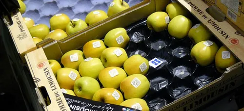 Route de la pomme : venez découvrir les vergers du Limousin   