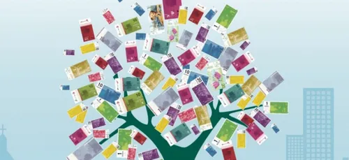 Limousin : la monnaie locale Lou Pelou bientôt utilisable par...