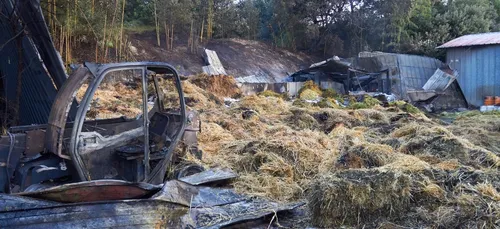 Incendie au zoo de la Palmyre