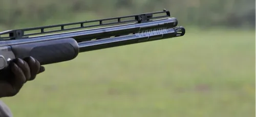 Vienne : une mère de famille victime du 99ème féminicide en France ?