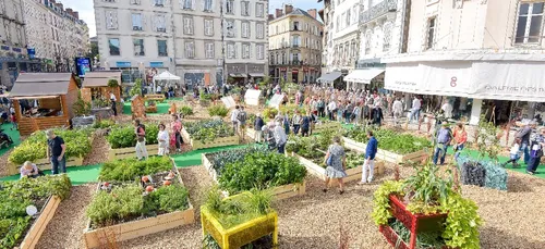 J – 9 avant Toques et Porcelaine à Limoges