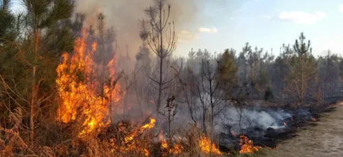 Risque sévère d’incendies dans nos régions ce jeudi 19 septembre    