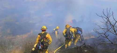 Haute-Vienne : nouveau feu de forêt ce vendredi matin