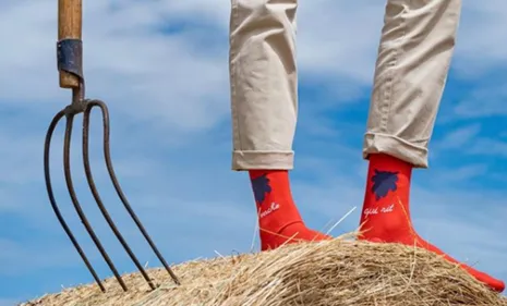 Label Chaussettes : des chaussettes originales made in...