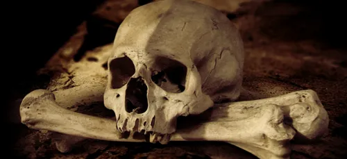 Orléans : un squelette retrouvé assis les mains attachées dans le dos