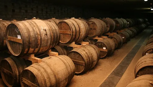 Job dating : la filière du cognac recrute !