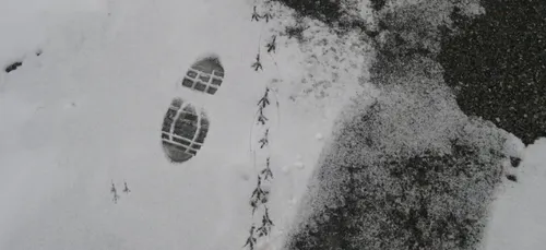 La neige arrive cette semaine dans le Limousin !