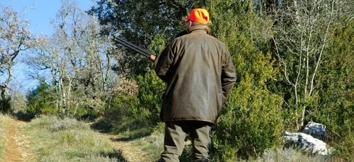 Nouvelle-Aquitaine : le point sur les enquêtes des accidents de chasse