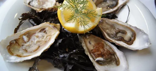 Charente-Maritime : les vols d’huîtres ont explosé !