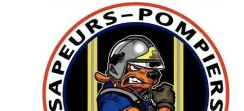 Vienne : les pompiers lancent une pétition afin d’obtenir plus de...