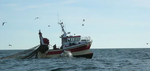 Charente-Maritime : la pêche au chalutier interdite à l’ouest de...