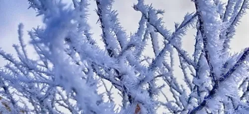Charente : niveau jaune du plan grand froid activé