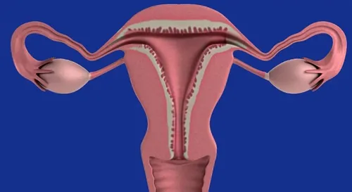 Dépistage du col de l’utérus : pourquoi, pour qui et quand  ?