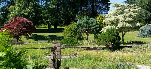 Angers : première ville verte de France