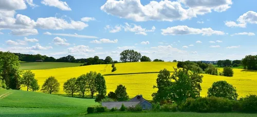 Haute-Vienne : la douceur de l'hiver inquiète les agriculteurs