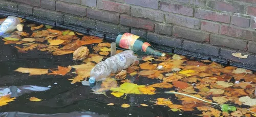 « J’aime la Loire propre » : 80 tonnes de déchets récoltées dans le...