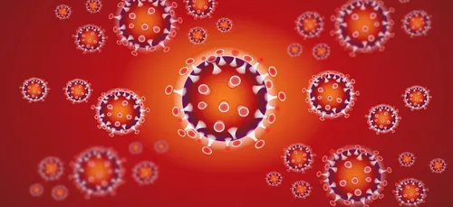 Indre-et-Loire : le coronavirus commence à impacter l’économie