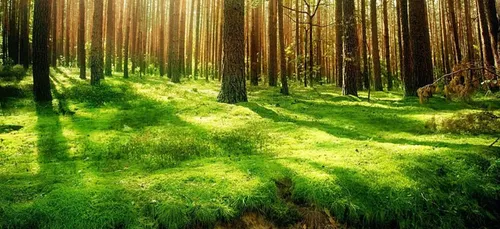 Niort : une marche pour le climat organisée samedi 14 mars 2020