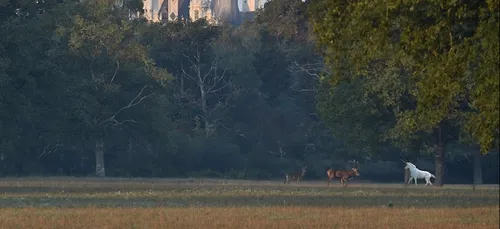 Dauphin dans la Loire, licorne à Chambord… les poissons d’avril...