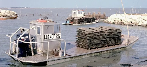 La Maison Henry : « On travaille nos huîtres avec amour »