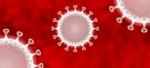 Coronavirus : un cluster détecté à La Rochelle