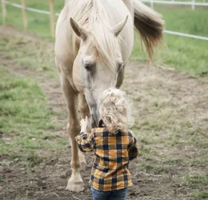 Charente-Maritime : la médiation animale au service de notre bien-être