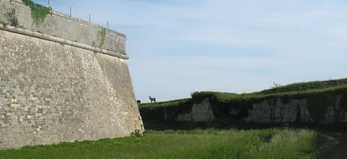 Saint-Martin-de-Ré : une femme chute mortellement des remparts