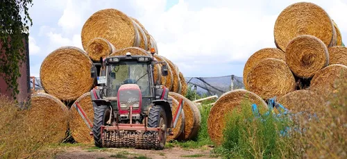 Haute-Vienne : un tiers des agriculteurs à la retraite d’ici six ans