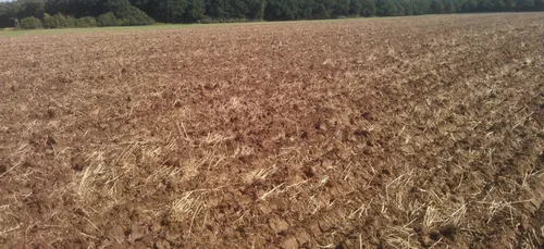 Haute-Vienne : le département se mobilise pour venir en aide aux...