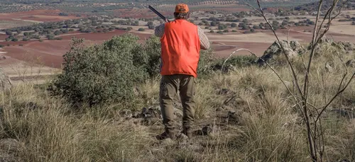 Deux-Sèvres : la chasse officiellement autorisée pendant le...